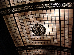 249 Longwood Gardens [2008 August 23]